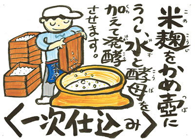 米麹をかめ壺にうつし、水と酵母を加えて発酵させます。（一次仕込み）