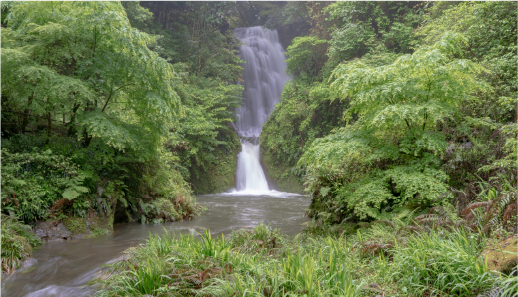 藤本の滝の画像