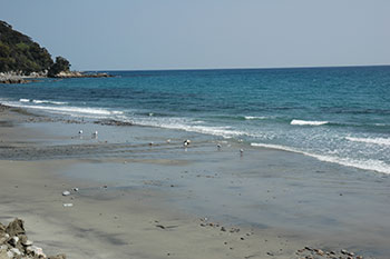甑島の美しい海岸