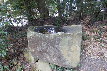 熊野神社　手水