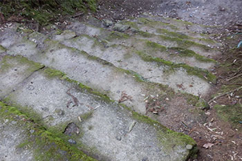 熊野神社　古い石段