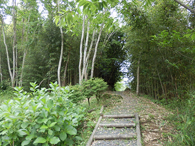 蔵見学(工場見学) 散歩