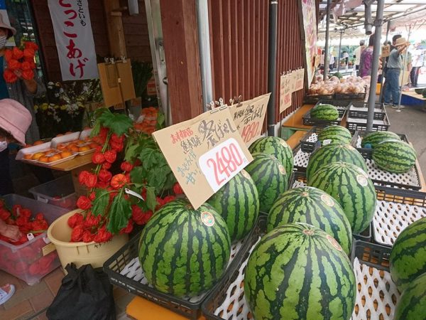 ほおずき市 株式会社 祁答院蒸溜所 けどういんじょうりゅうしょ