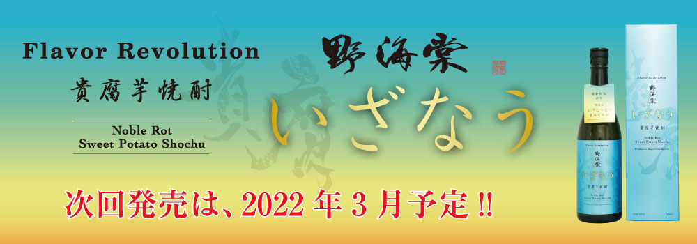 貴腐芋焼酎　野海棠いざなう　次回発売は、2022年3月予定