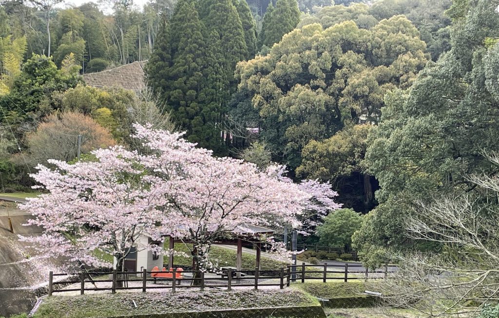 農村公園　祁答院町藺牟田　祁答院蒸溜所