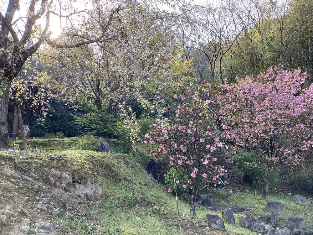 季節の便り