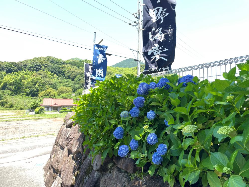 季節の便り