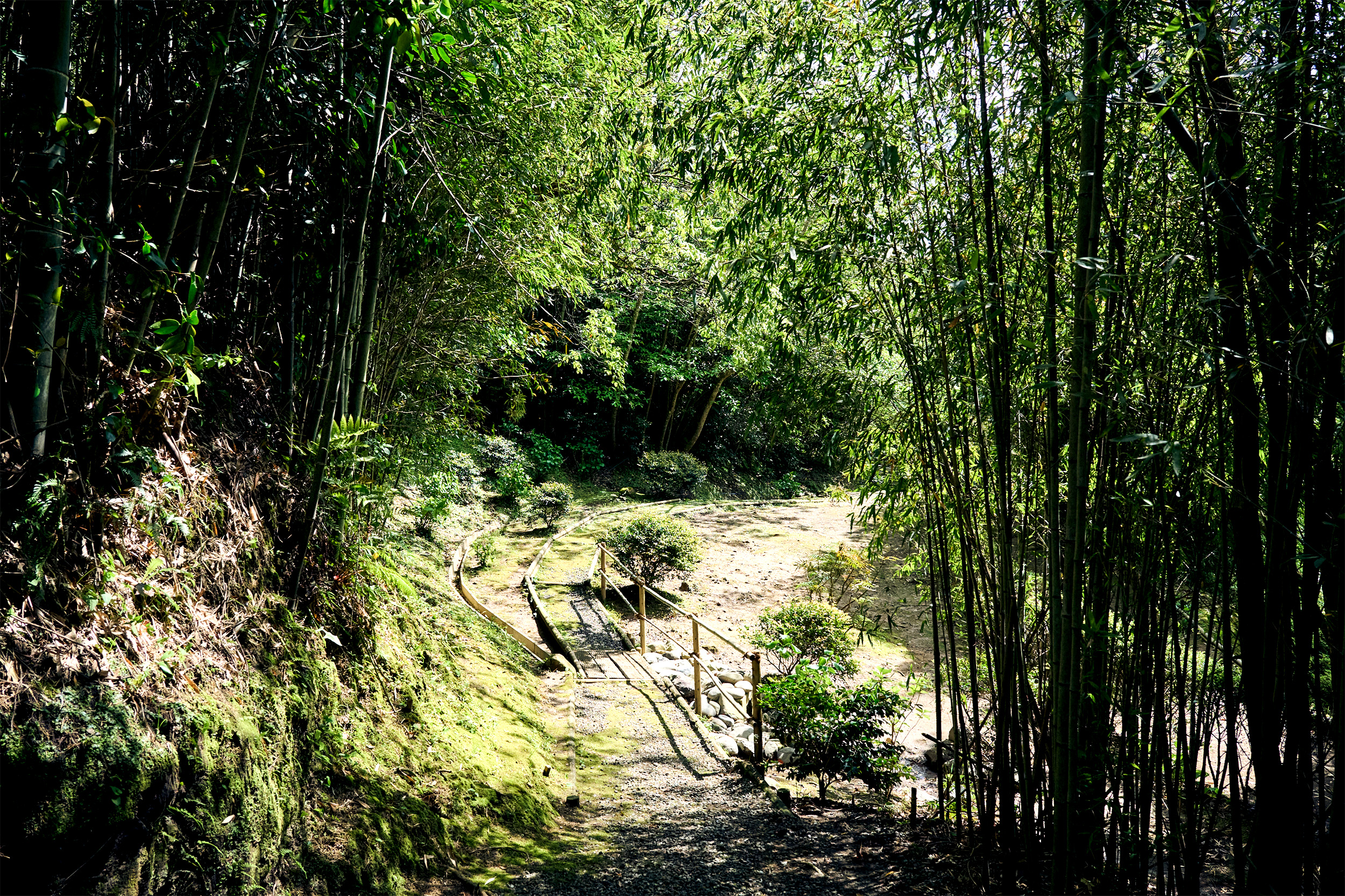 鹿児島 祁答院蒸溜所 蔵見学 焼酎の小径