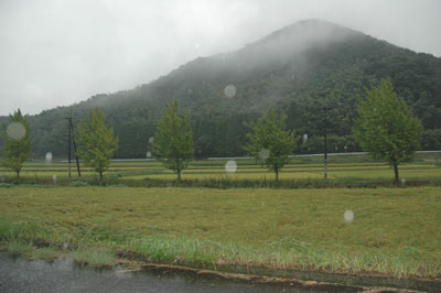 恵みの雨