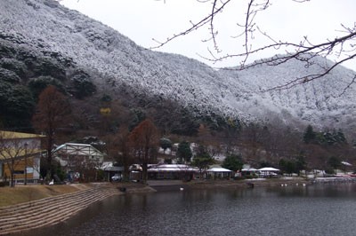 初雪