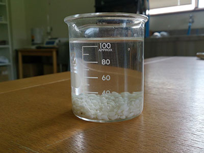 米の浸漬テスト