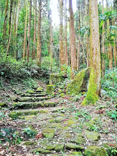 掛橋坂・かけはしざか