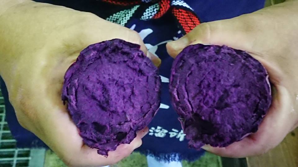 蒸した紫芋
