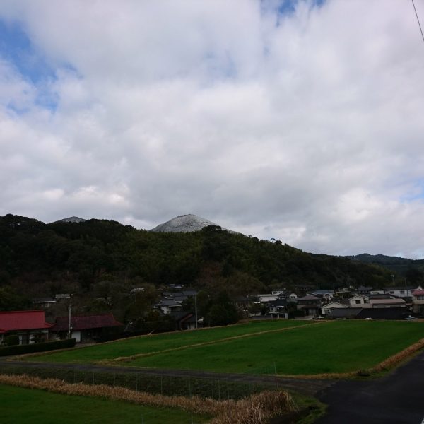 初雪が降りました