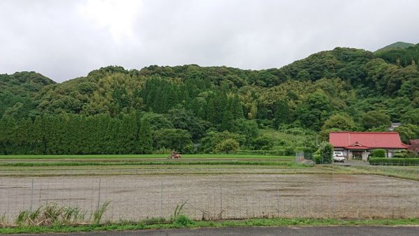 祁答院蒸溜所前の田んぼ　2020田植え