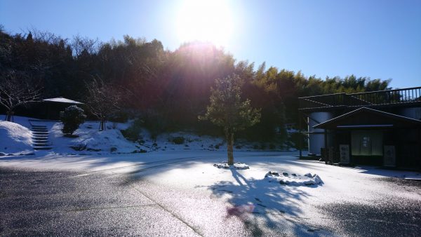 雪が積もりました