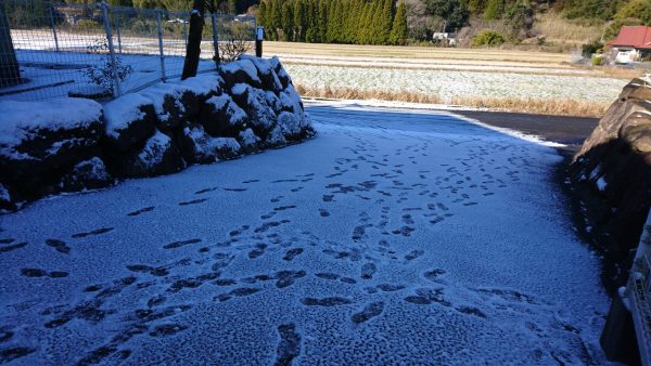 20210109祁答院蒸溜所積雪正面入口