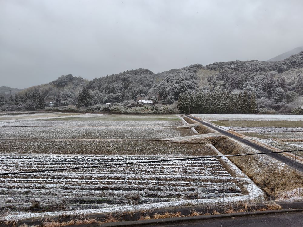 2025年2月4日 周辺田んぼにも雪