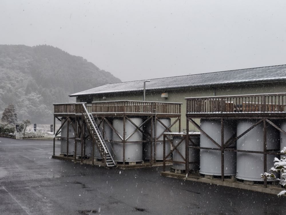 2025年2月4日 雪の場内