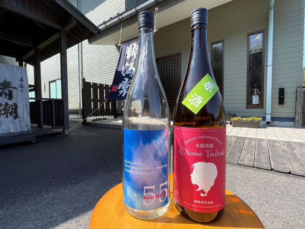 春の頒布会商品 芋焼酎 2025年5月20日お届け №55、原酒おとめつばき