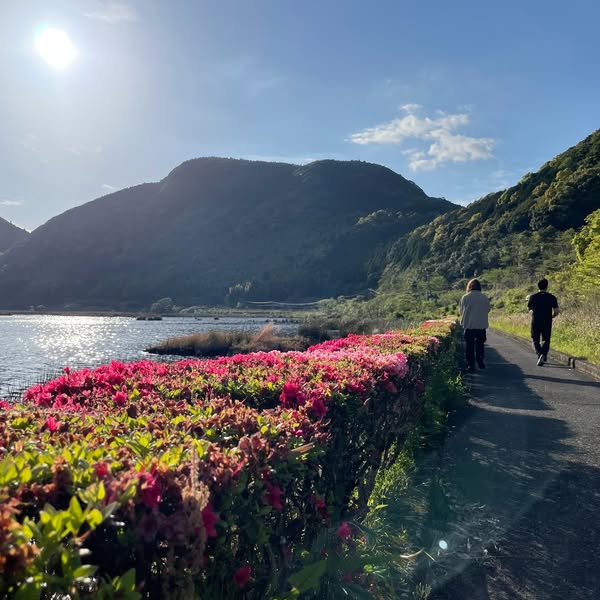 春の藺牟田池