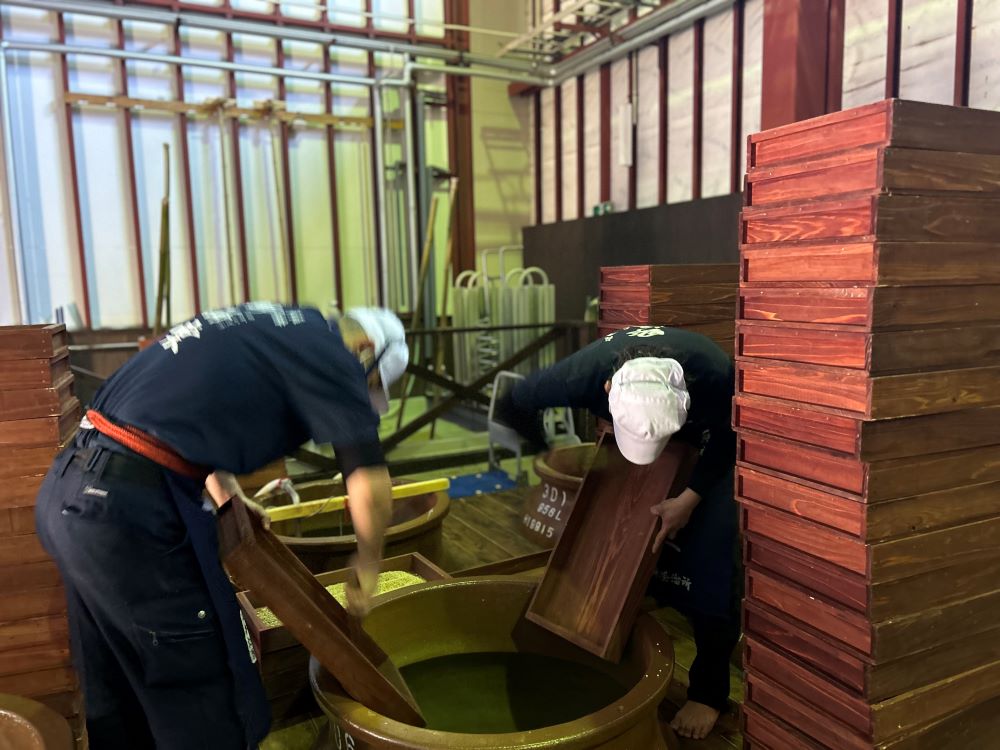麦焼酎の手造り麹仕込みの様子