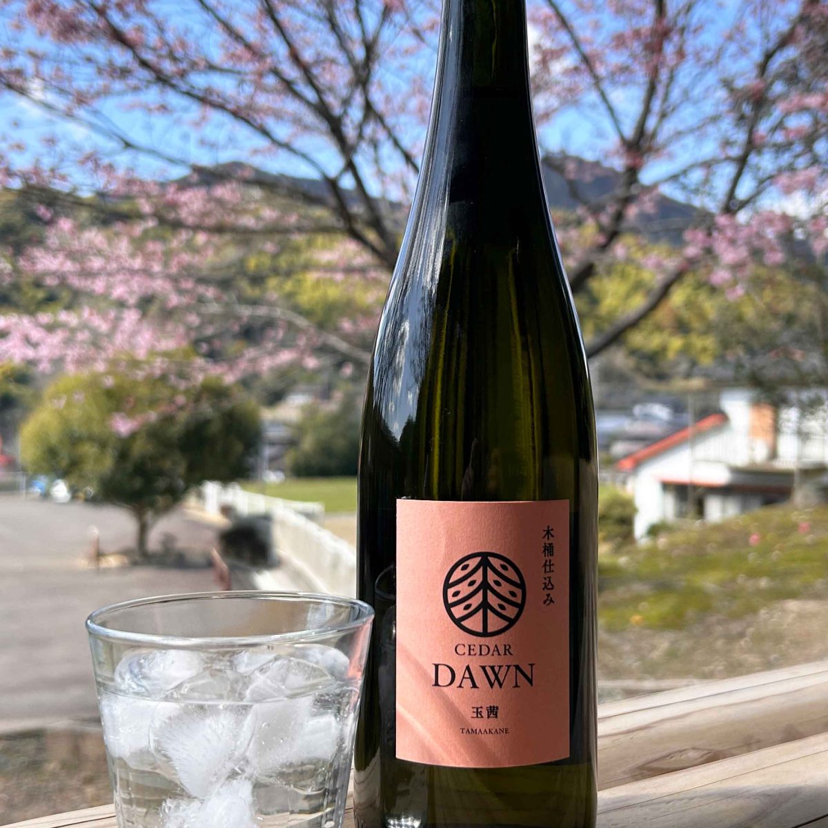 CEDAR DAWN 玉茜　季節限定商品発売！柑橘やパッションフルーツのような華やかな香りが夜明け（DAWN）のようにゆるやかに広がります。