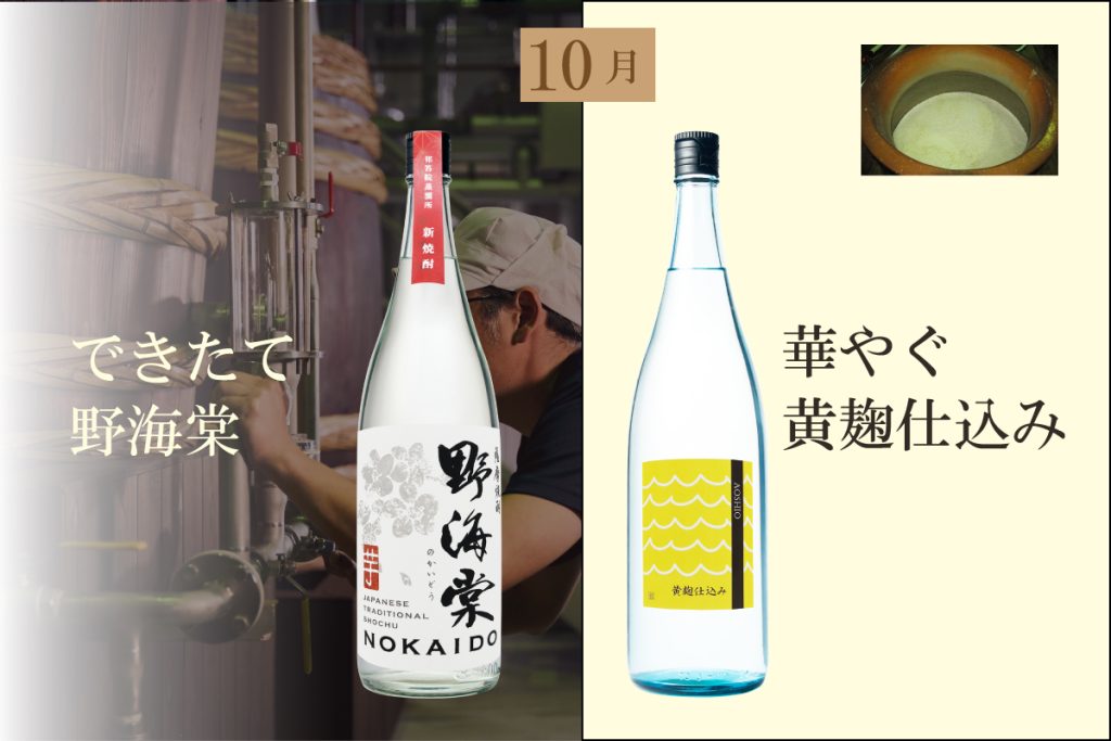 祁答院蒸溜所 2026年 秋の定期便 限定焼酎 新焼酎 10月お届け分