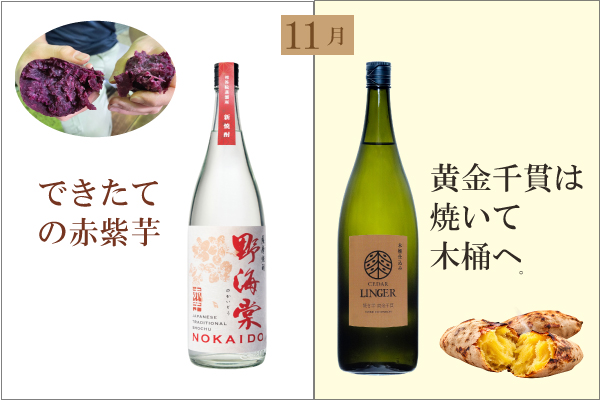 祁答院蒸溜所 2026年 秋の定期便 限定焼酎 新焼酎 11月お届け分