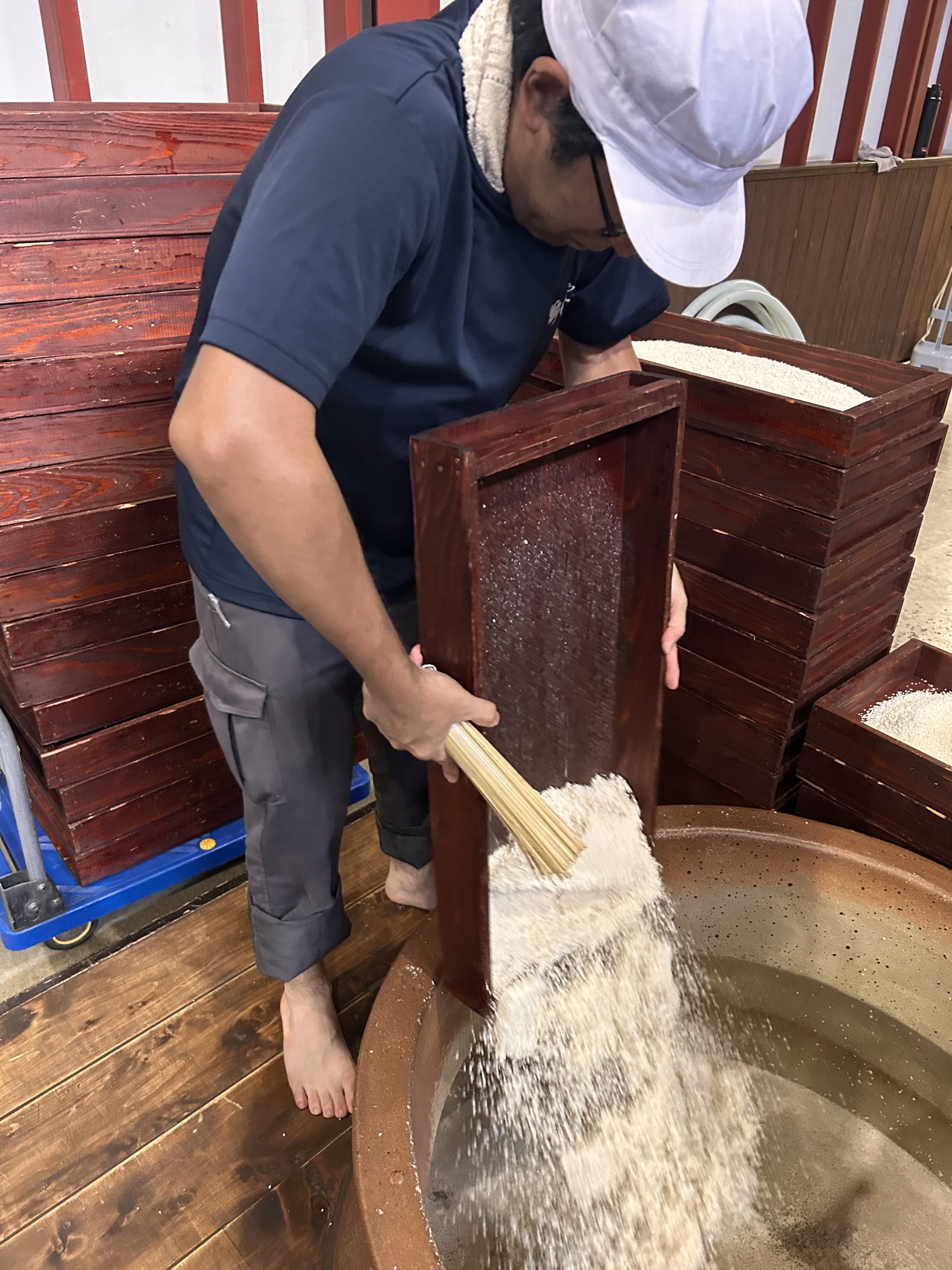 新焼酎 野海棠 もろみ 発酵 鹿児島 祁答院 焼酎 芋焼酎