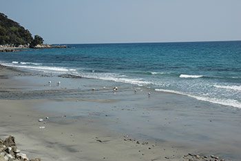 甑島の海岸