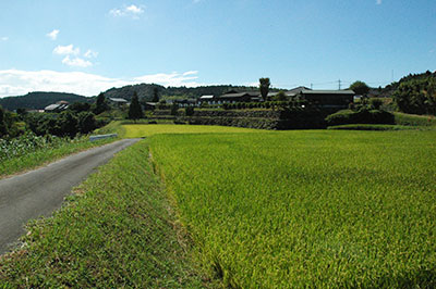 明るい農村の蔵