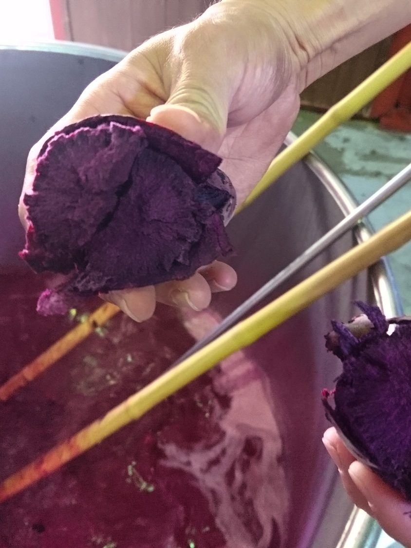 貴腐芋焼酎「野海棠いざなう」に使う、紫芋