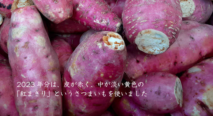 2023年分は、紅まさりを使用。皮が赤く、中が淡い黄色のさつまいもです。