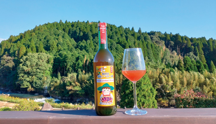 10年古酒ブルーベリー酒
