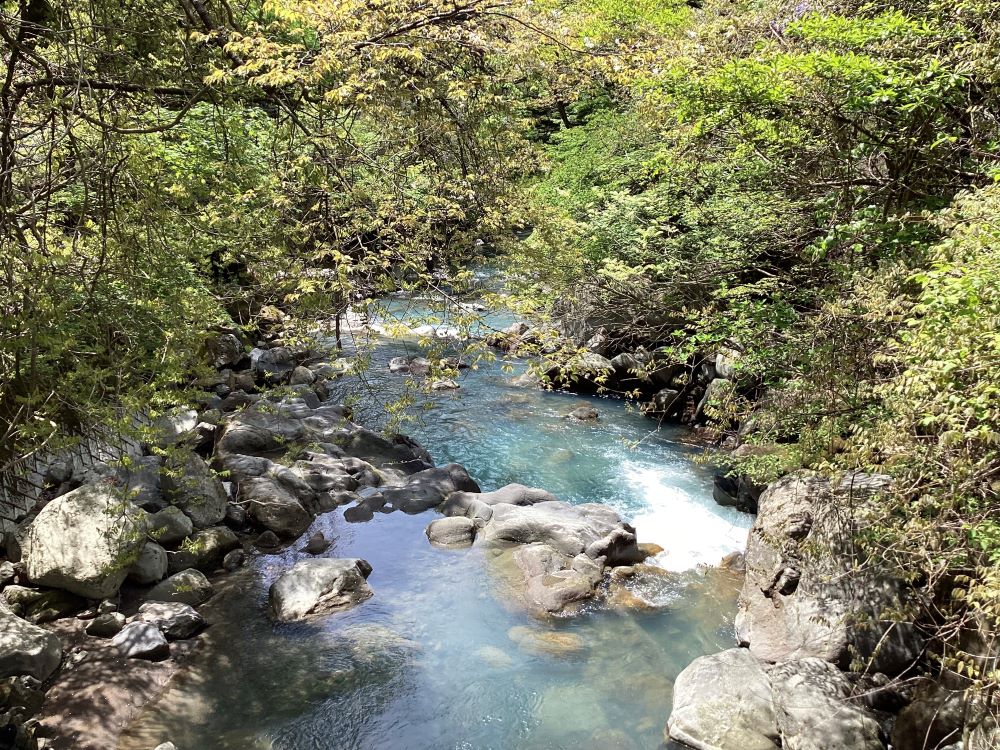 新緑の霧島川(5月5日)