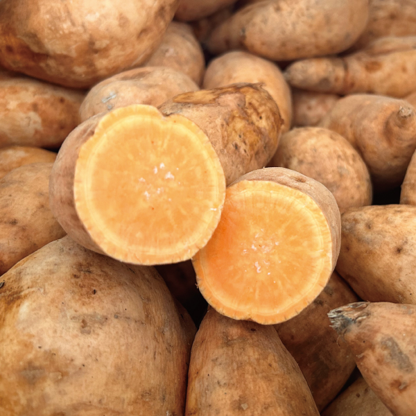 オレンジ芋の玉茜