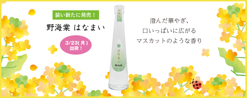 芋焼酎「野海棠はなまい」41度　300ml　装い新たに発売　澄んだ華やぎ、口いっぱいに広がるマスカットのような香り　