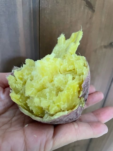 紅まさり　祁答院蒸溜所